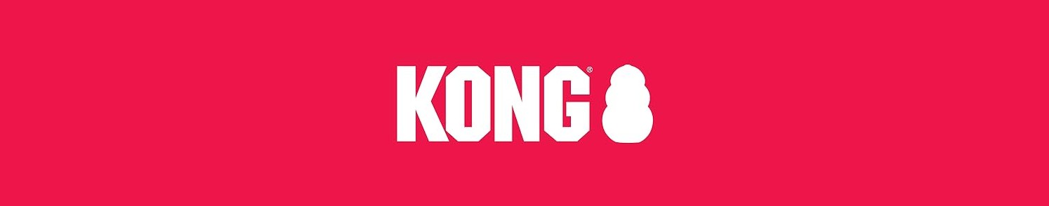 KONG shop banner